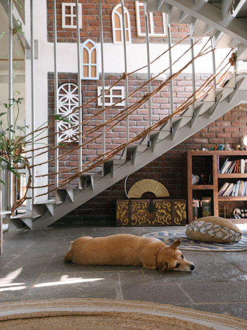 Modern home interior with brick accent wall staircase and sleeping dog – Beautiful Homes