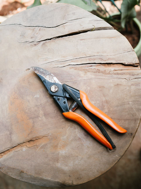 Orange handled gardening pruning shears on wooden stump – Beautiful Homes