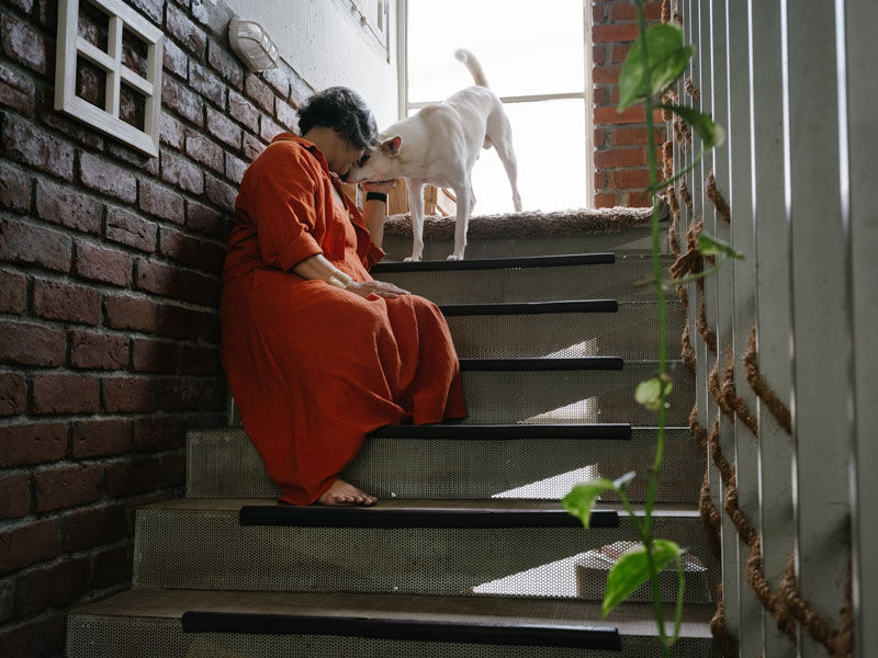 Traditional Indian home interior with brick wall staircase woman and dog – Beautiful Homes