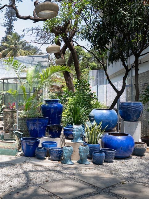 Beruru Bengaluru plant store with meandering green walkway - Beautiful Homes