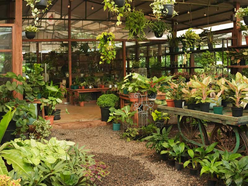 Kensho Greenery Karjat DIY potting bar and plant displays - Beautiful Homes