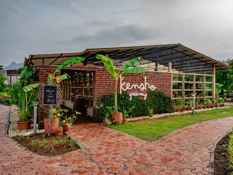Kensho Greenery plant boutique with yellow corner and neon sign - Beautiful Homes