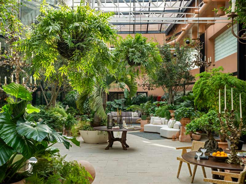 The Orangery Mumbai with indoor plants and natural light - Beautiful Homes