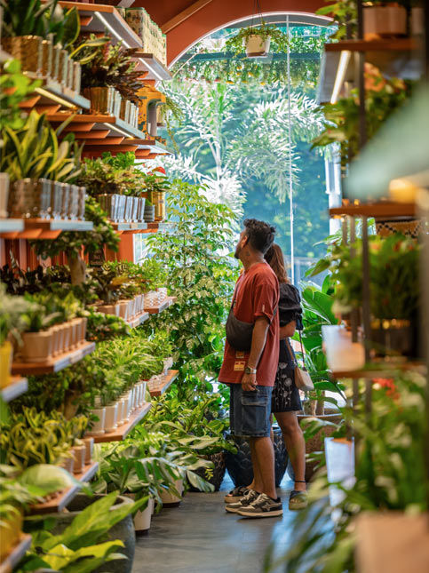 Ugaoo plant store with wooden shelves and earthy green palette - Beautiful Homes