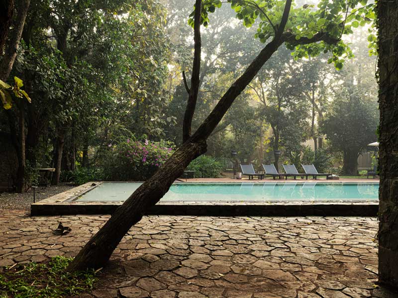 Copper House II pool in lush Alibaug landscape - Beautiful Homes