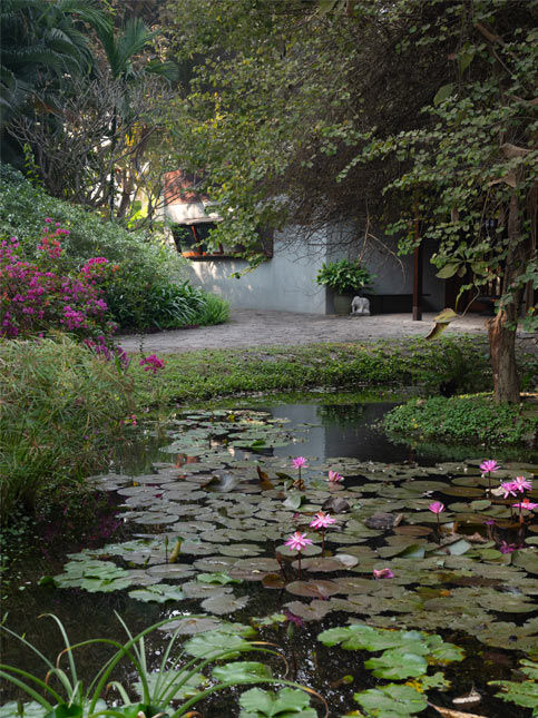 Lotus pond framing the entrance to Copper House II - Beautiful Homes