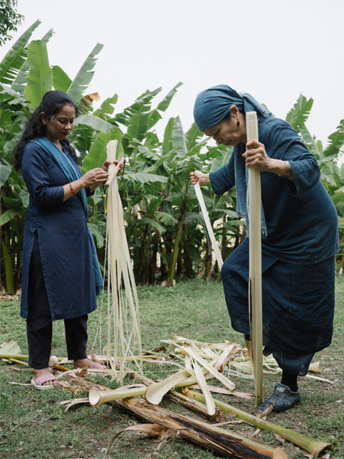Banana stems peeled for making basho fibre - Beautiful Homes