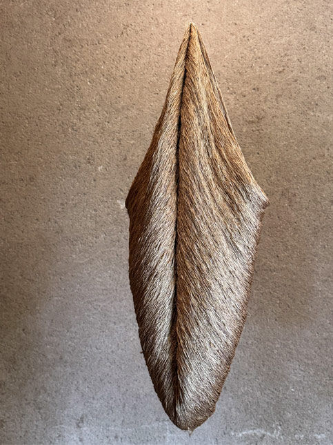 Silk fibres sculpted like a cocoon at Ganga Maki studio - Beautiful Homes