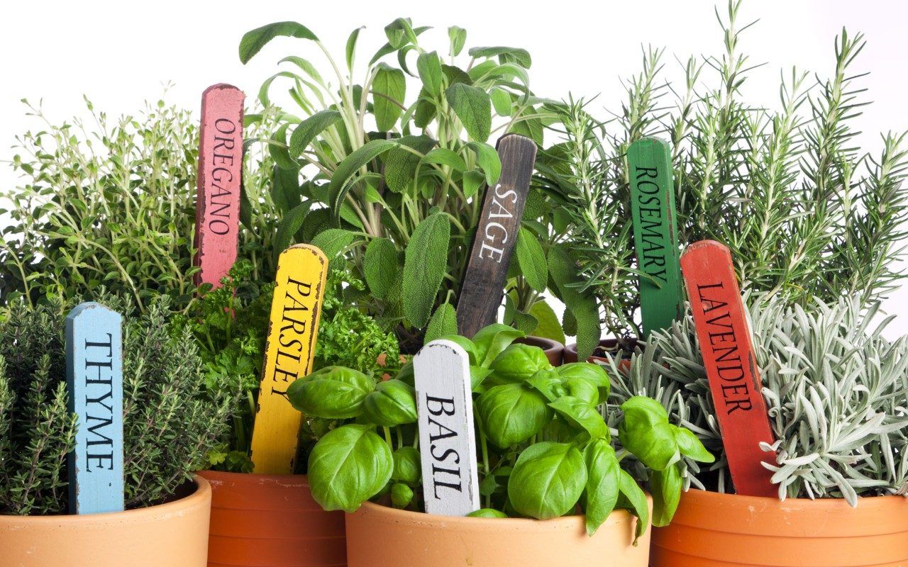 Create a indoor herb garden for your home interiors - Beautiful Homes