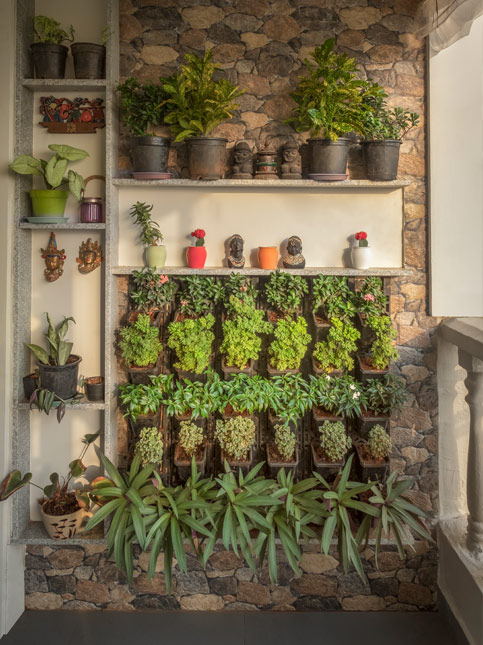 Add various plants in your balcony to add greenery & fresh summer look to your home - Beautiful Homes