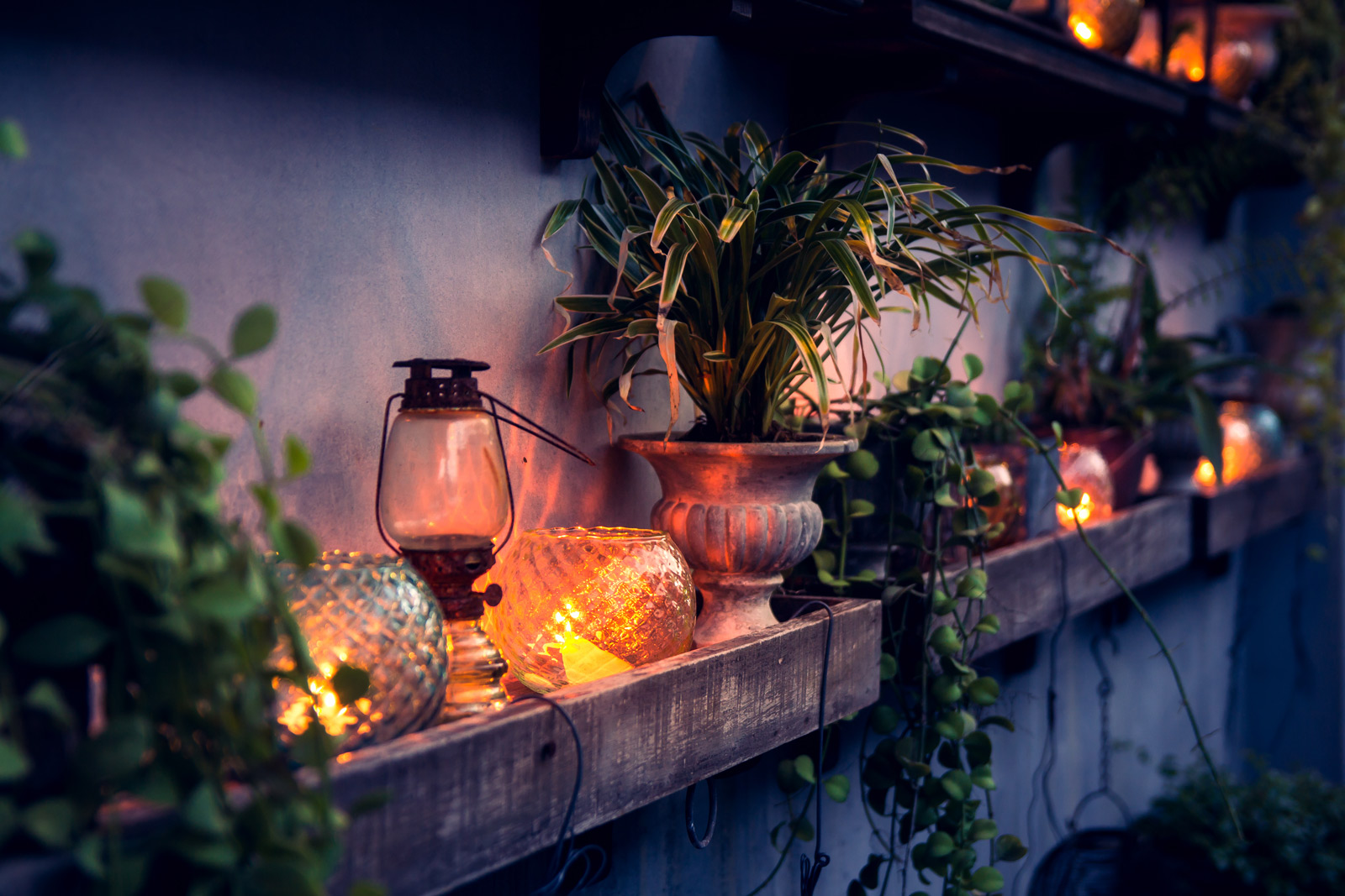 votives and kerosene lamps interior design with potted winter plants - Beautiful Homes