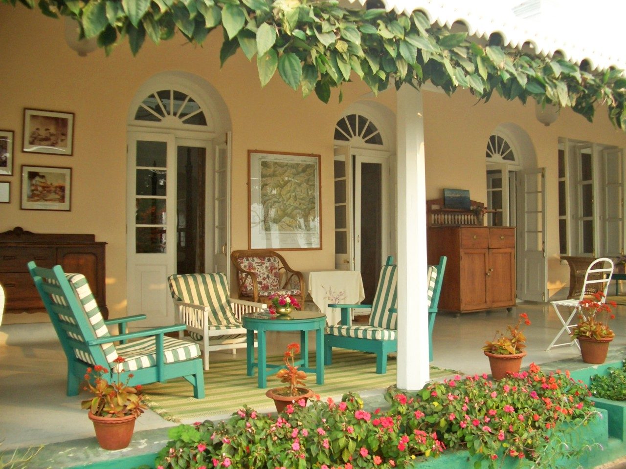 The Patio of the Glenburn Tea Estate - Beautiful Homes