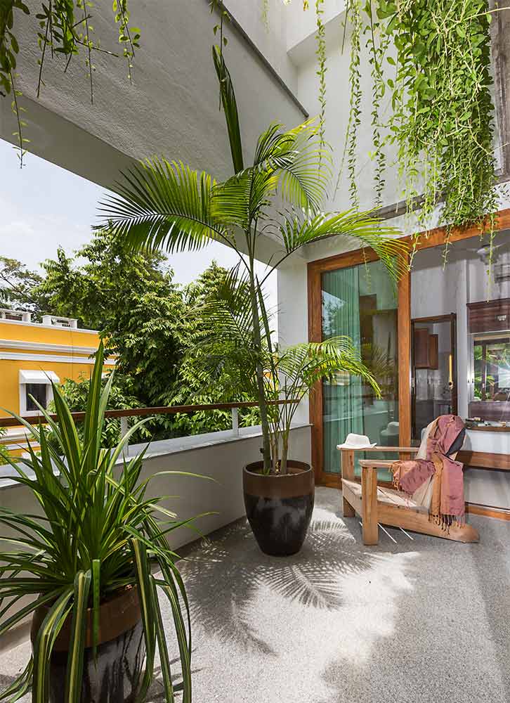 Small balcony garden ideas with climber tree - Beautiful Homes