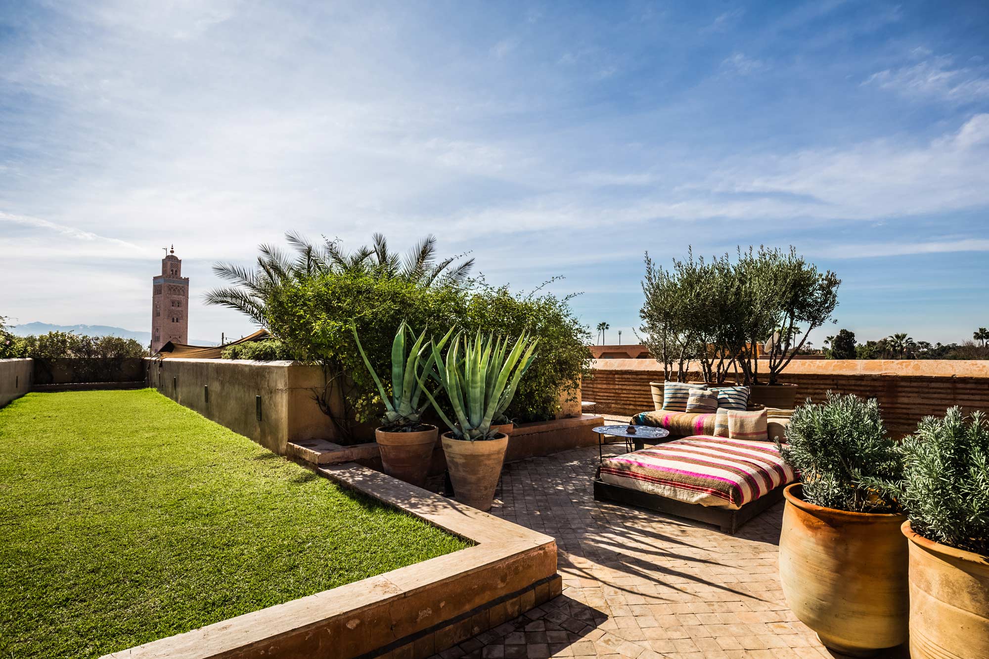 Simple terrace design with oversized evergreen succulents in large pots - Beautiful Homes