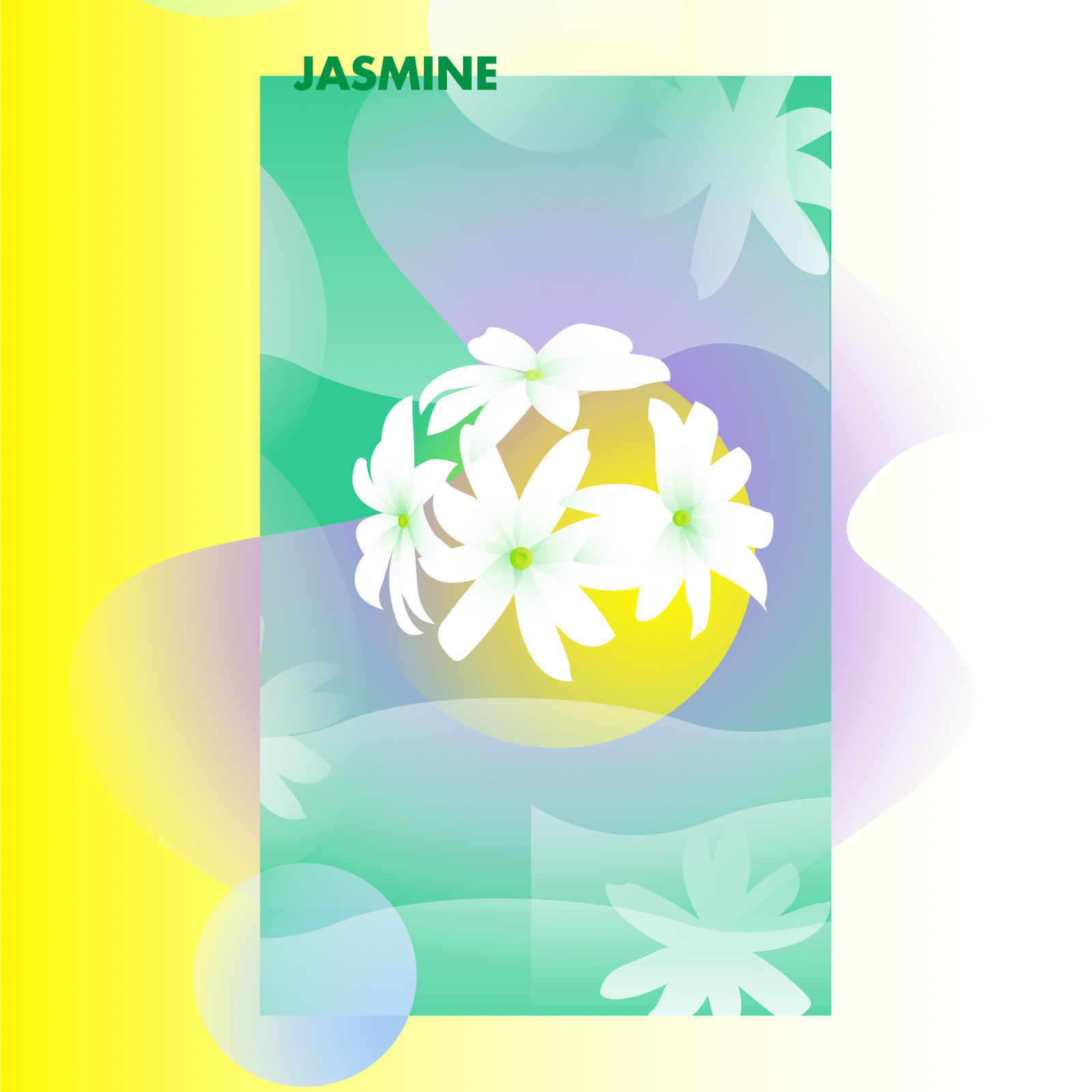 Jasmine - Beautiful Homes