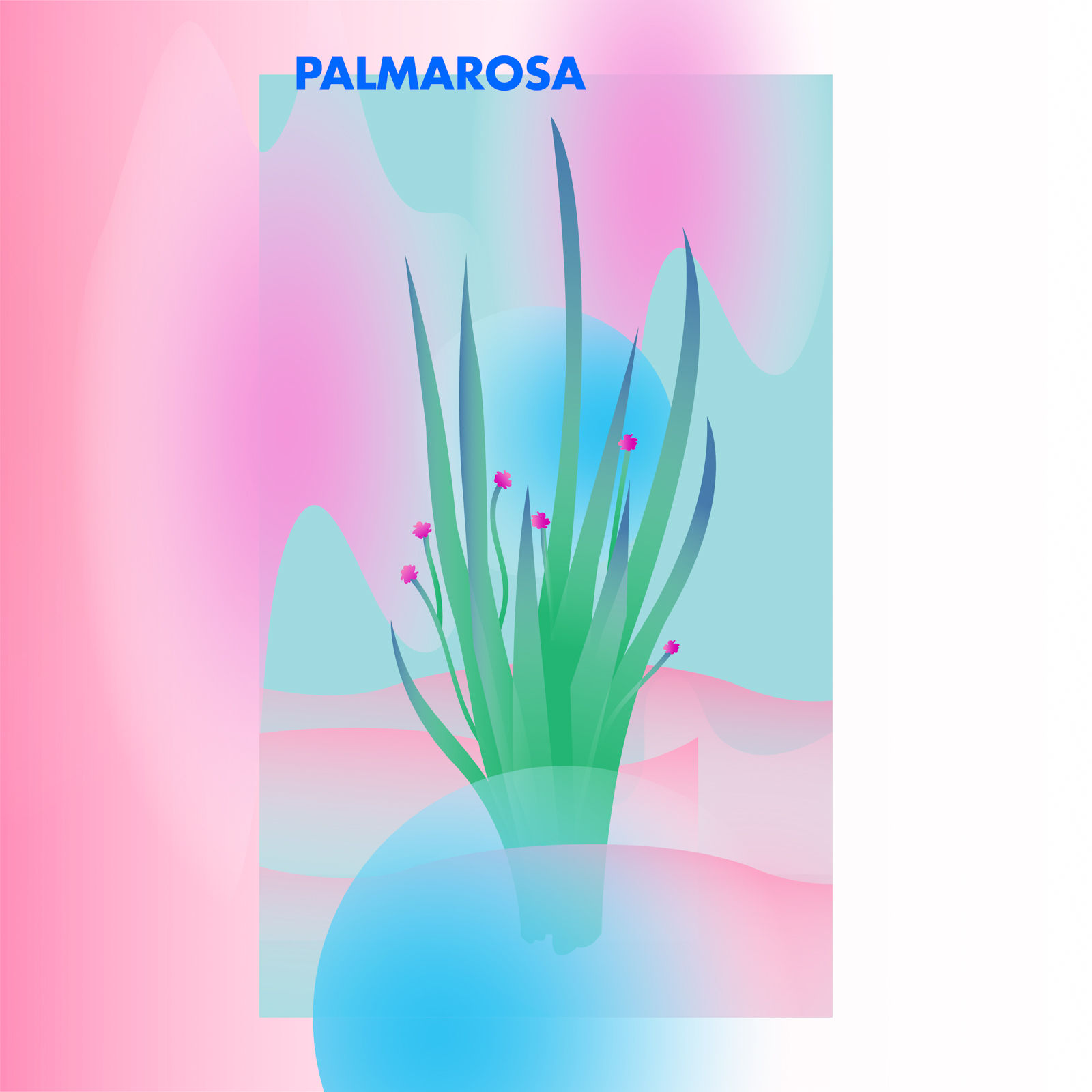 Palmarosa - Beautiful Homes