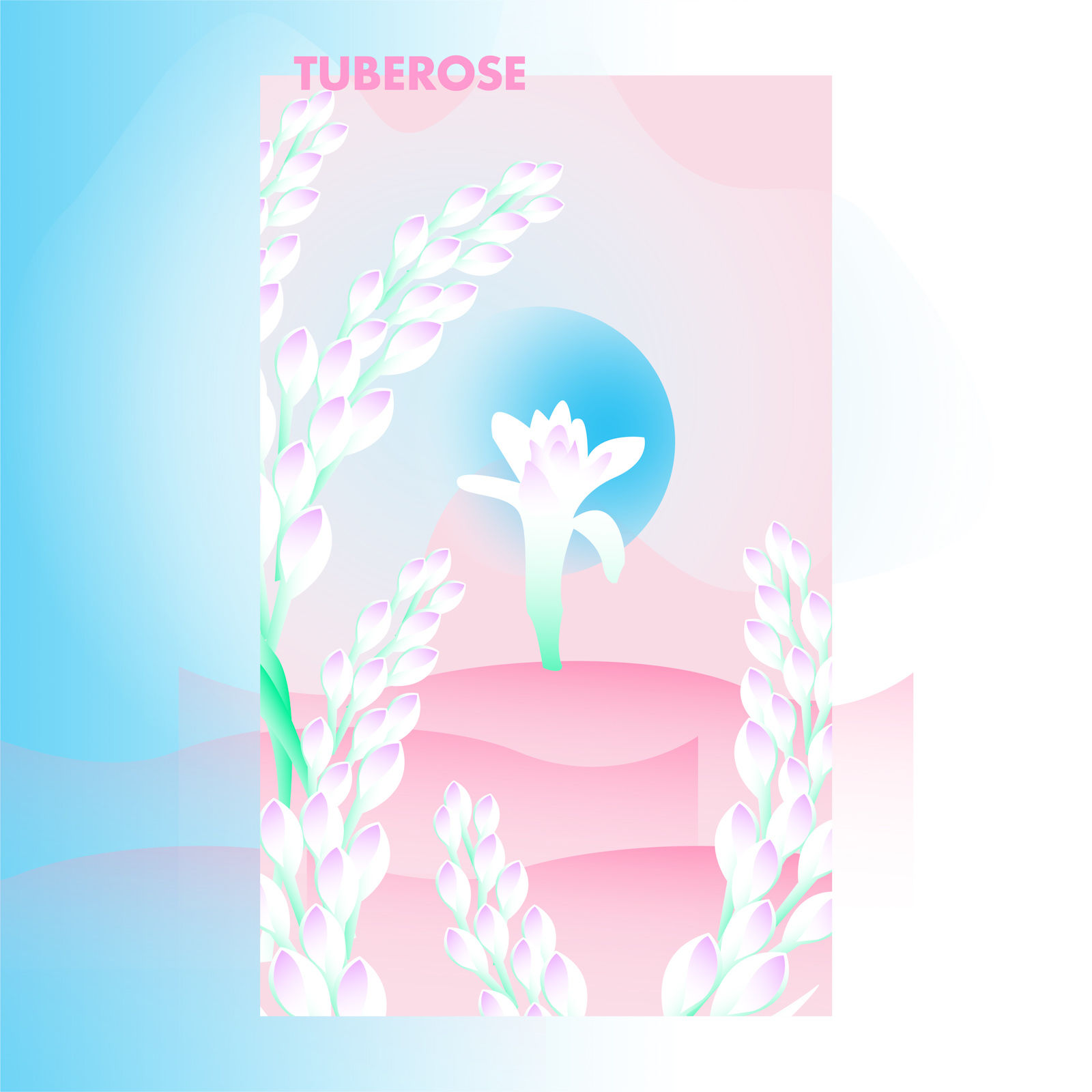 Tuberose - Beautiful Homes