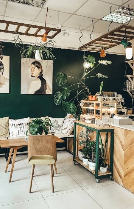 Living room home décor tips with indoor plants & earthy interiors - Beautiful Homes