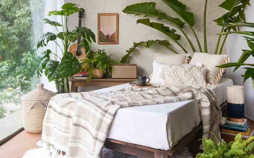 A single bed in a white bedroom with plants, a table, a guitar and a radio