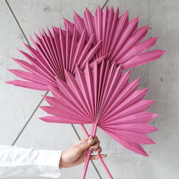 Pink Sunset sun palm