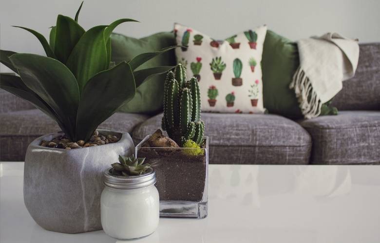 Use indoor plants for sustainable home design & décor - Beautiful Homes