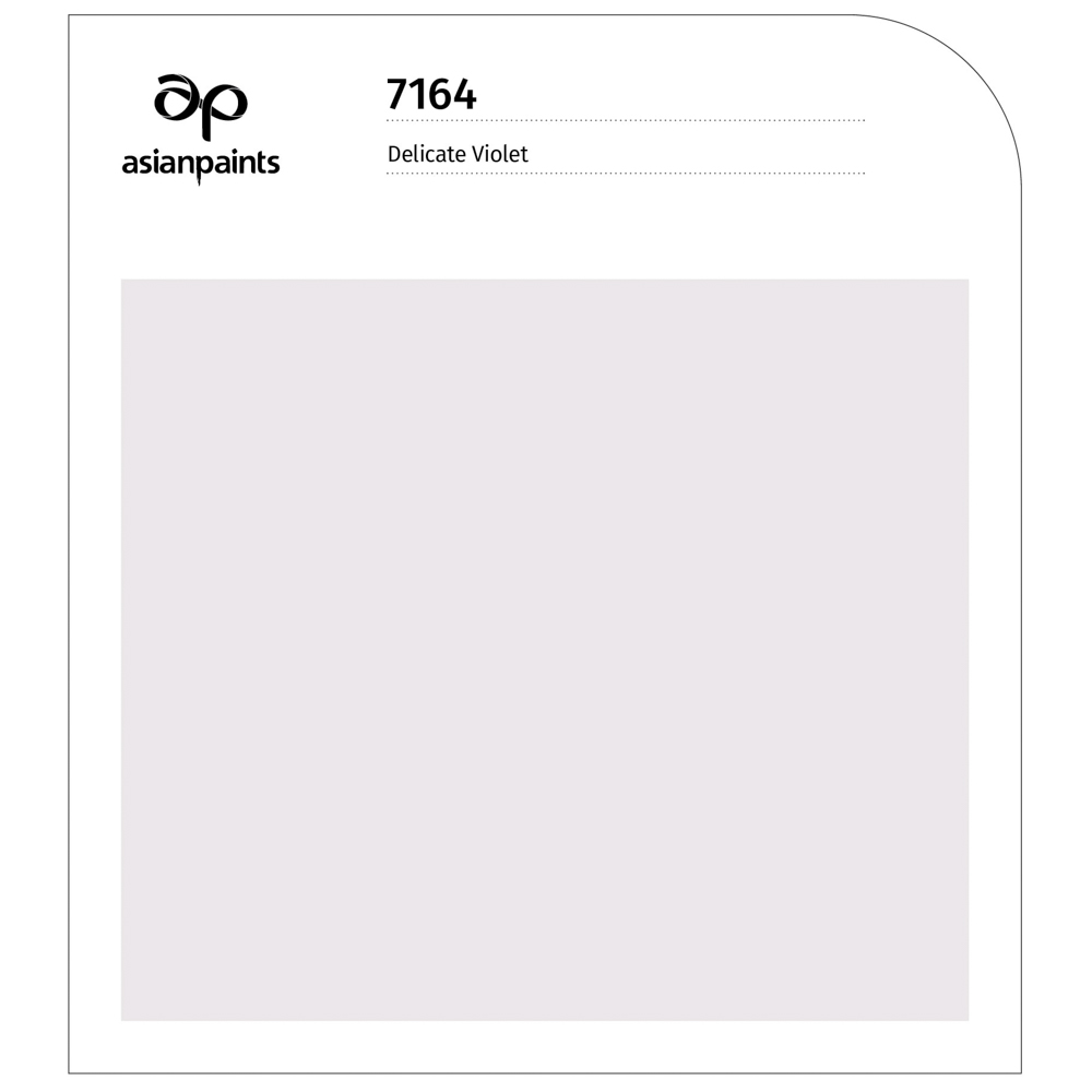 Classic soft violet wall painting colour for your home interior walls - Beautiful Homes