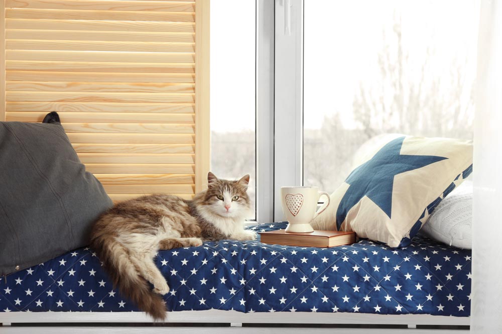 Modern window seating ideas for your furry friends - Beautiful Homes