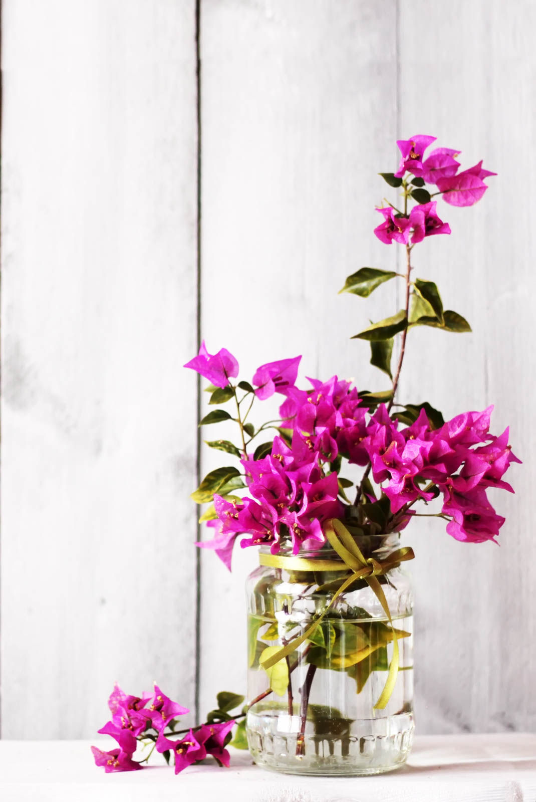 All-pervasive Bougainvillea Bunched Together a Simple Floral Arrangement - Beautiful Homes