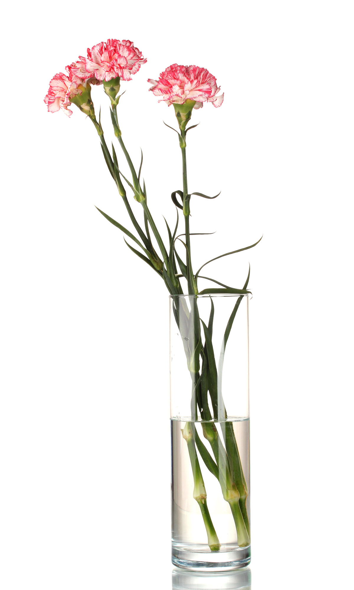 Tall vases for longer stemmed flowers - Beautiful Homes