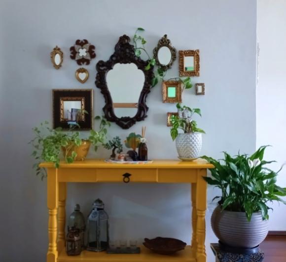 Indoor plants to keep in your living room for the nature lover - Beautiful Homes