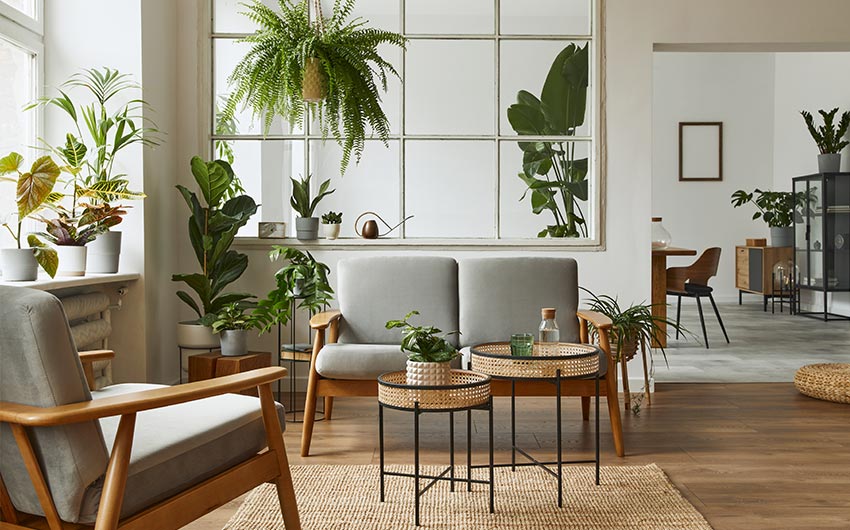 A living room full of colourful accessories and plants