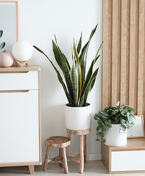 Wooden interiors for a scandinavian home design style - Beautiful Homes