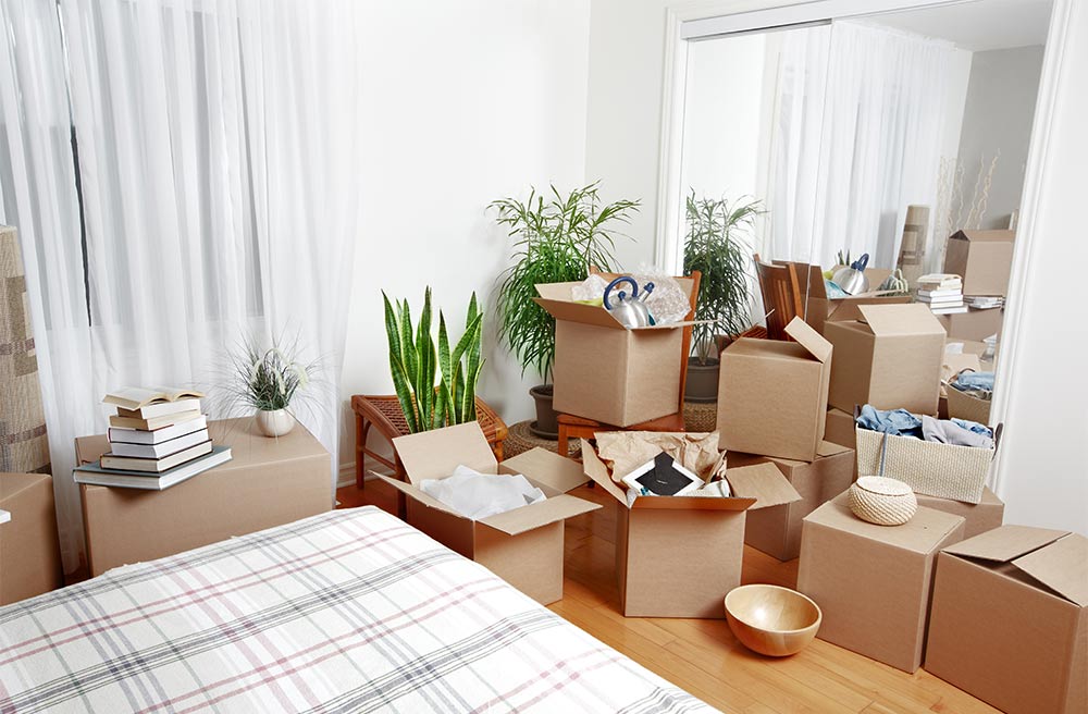 Home shifting process with packed carboard boxes - Beautiful Homes
