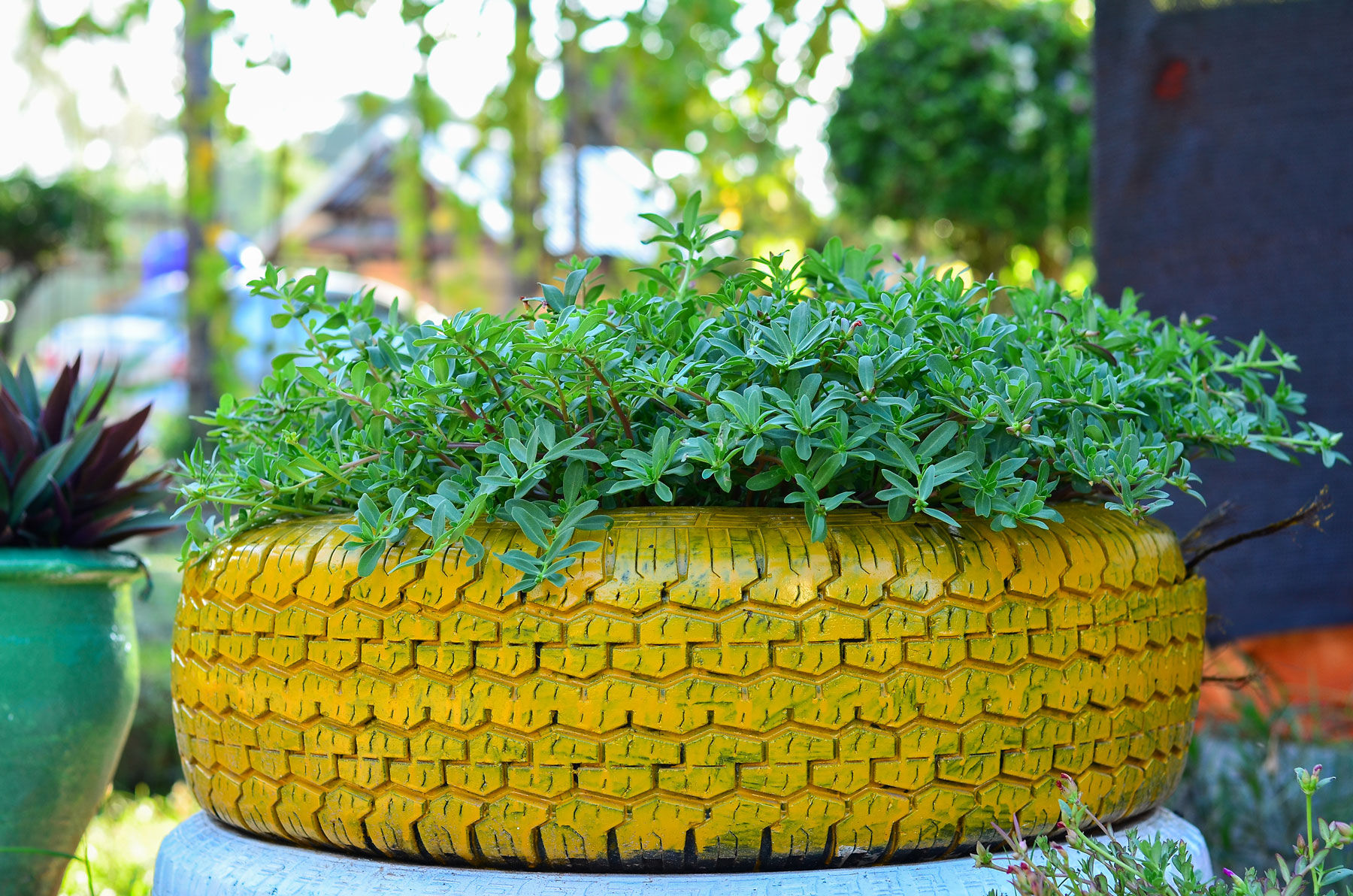 A Tyre transformed into the decorative item with a simple coat of paint - Beautiful Homes