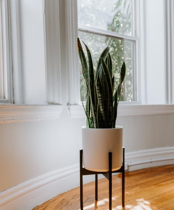 Flooring options for your bedroom to make it more elegant - Beautiful Homes