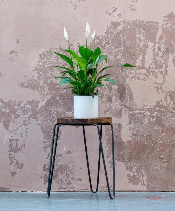 best table designs to place your indoor plants - Beautiful Homes