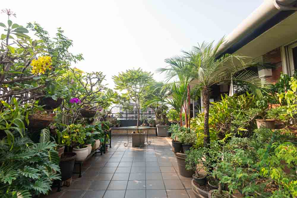 A tiled terrace garden with plants on either side