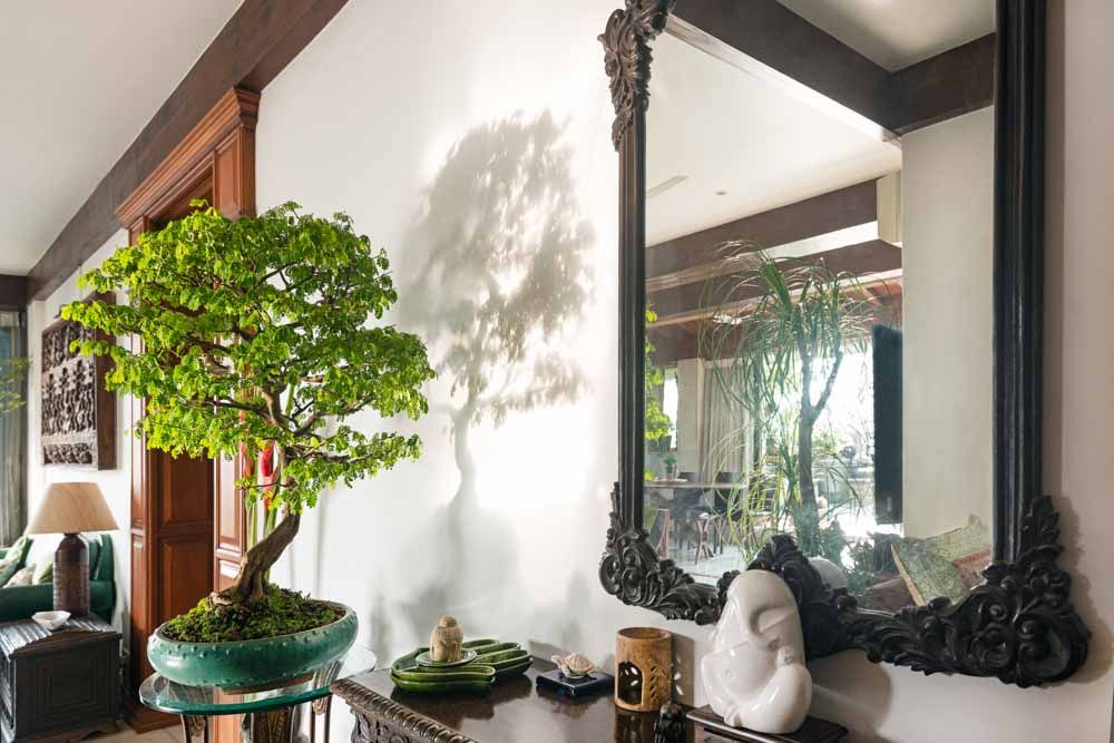  A bonsai plant placed on a stand besides a framed mirror hung on a wall - Beautiful Homes