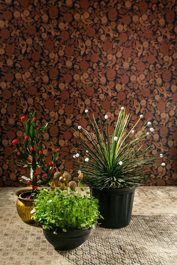 Simply adding pom poms in festive colours like red and white, helps dress up the plant in a minimal yet cheerful way - Beautiful Homes