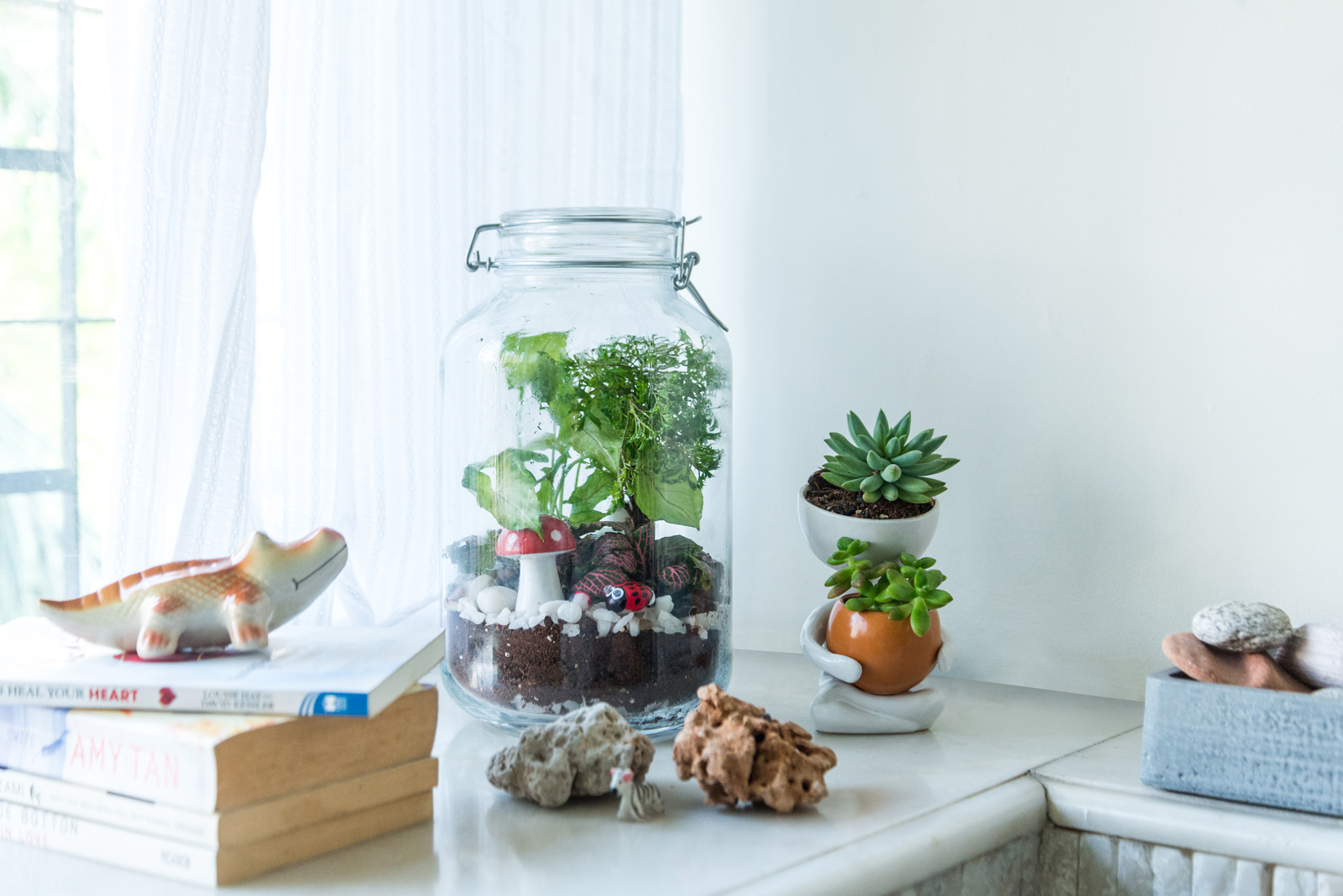 How to treat your terrarium, Gardening advice