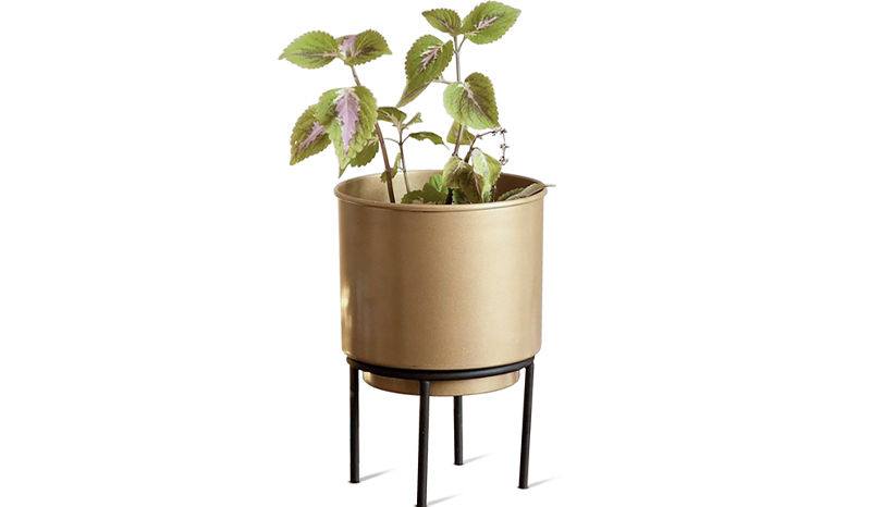 Grazillion Gold Planter – Beautiful Homes