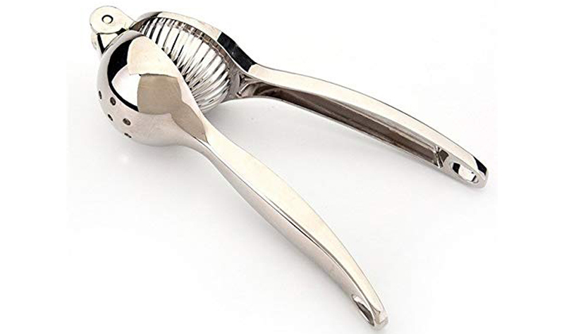Stainless Steel Juice Squeezer – Beautiful Homes