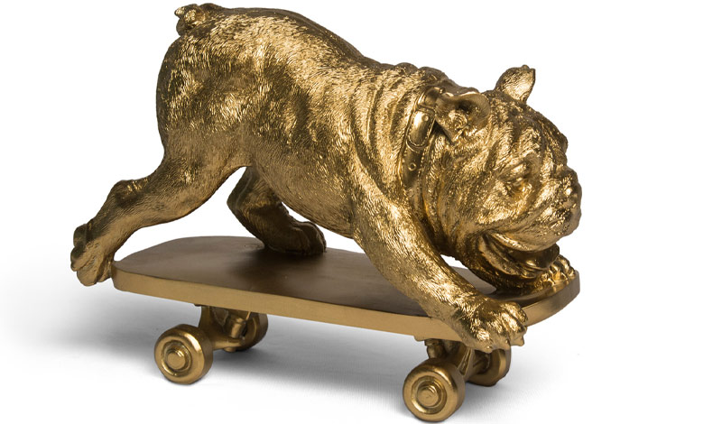 Skating Dog – Beautiful Homes