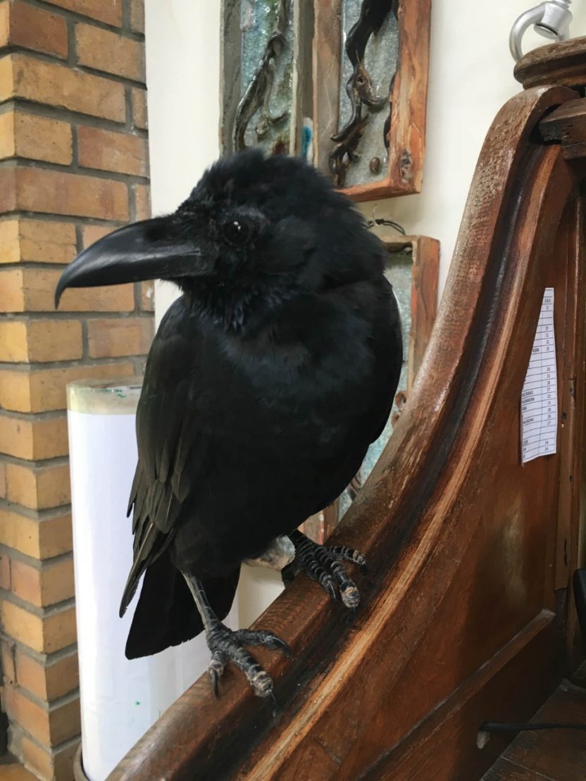 The Raven – Beautiful Homes