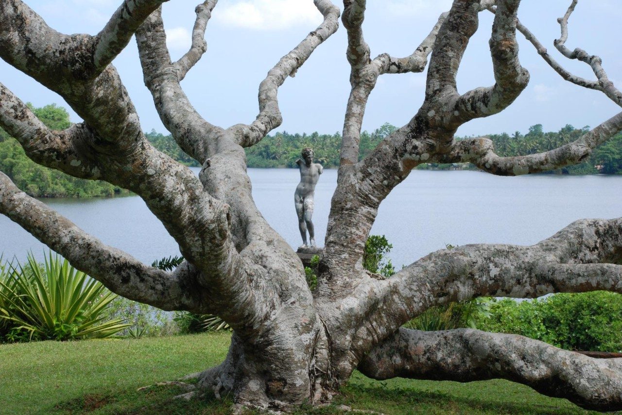 You can shape nature