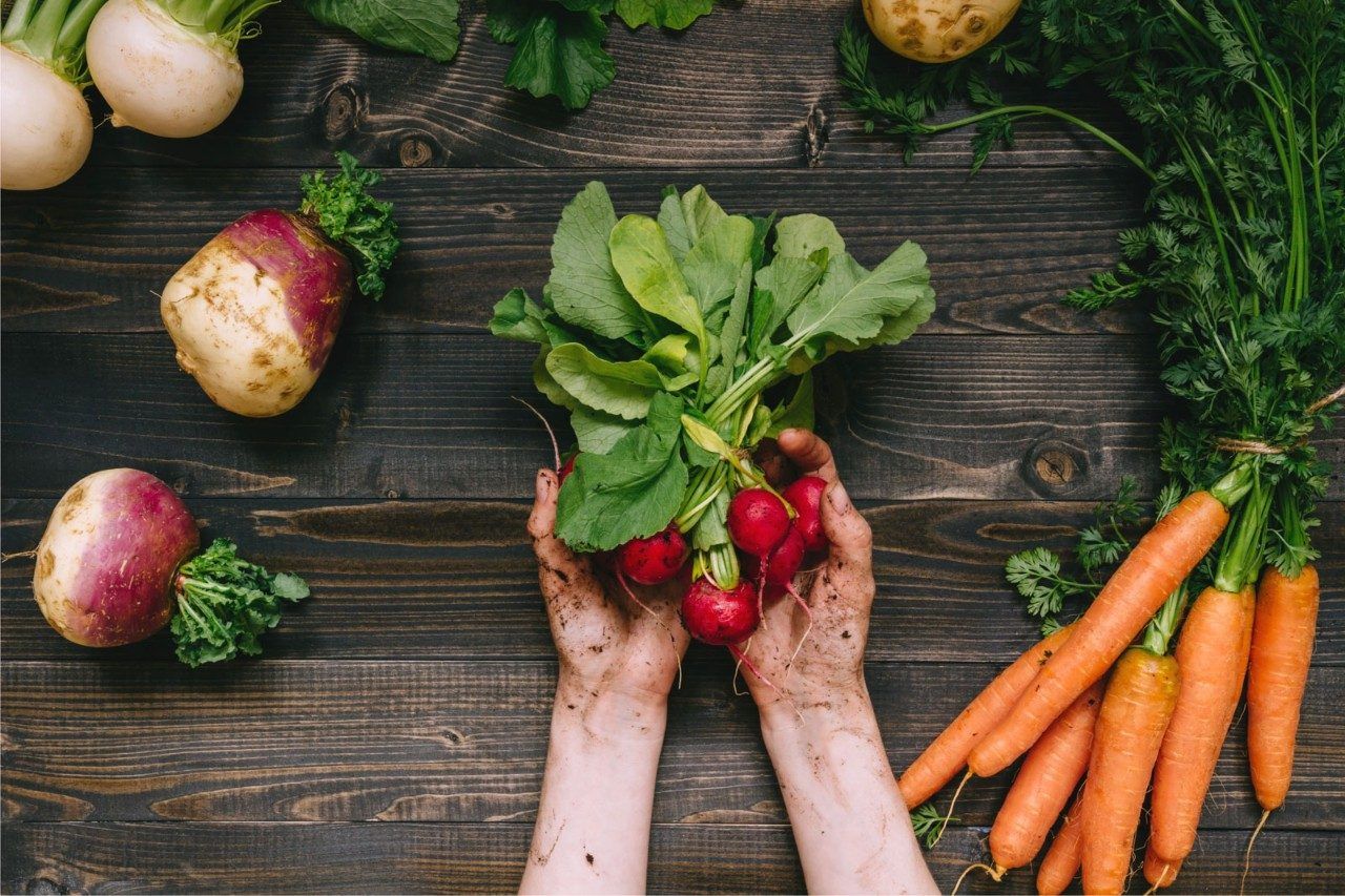 Switching over to a sustainable way of life