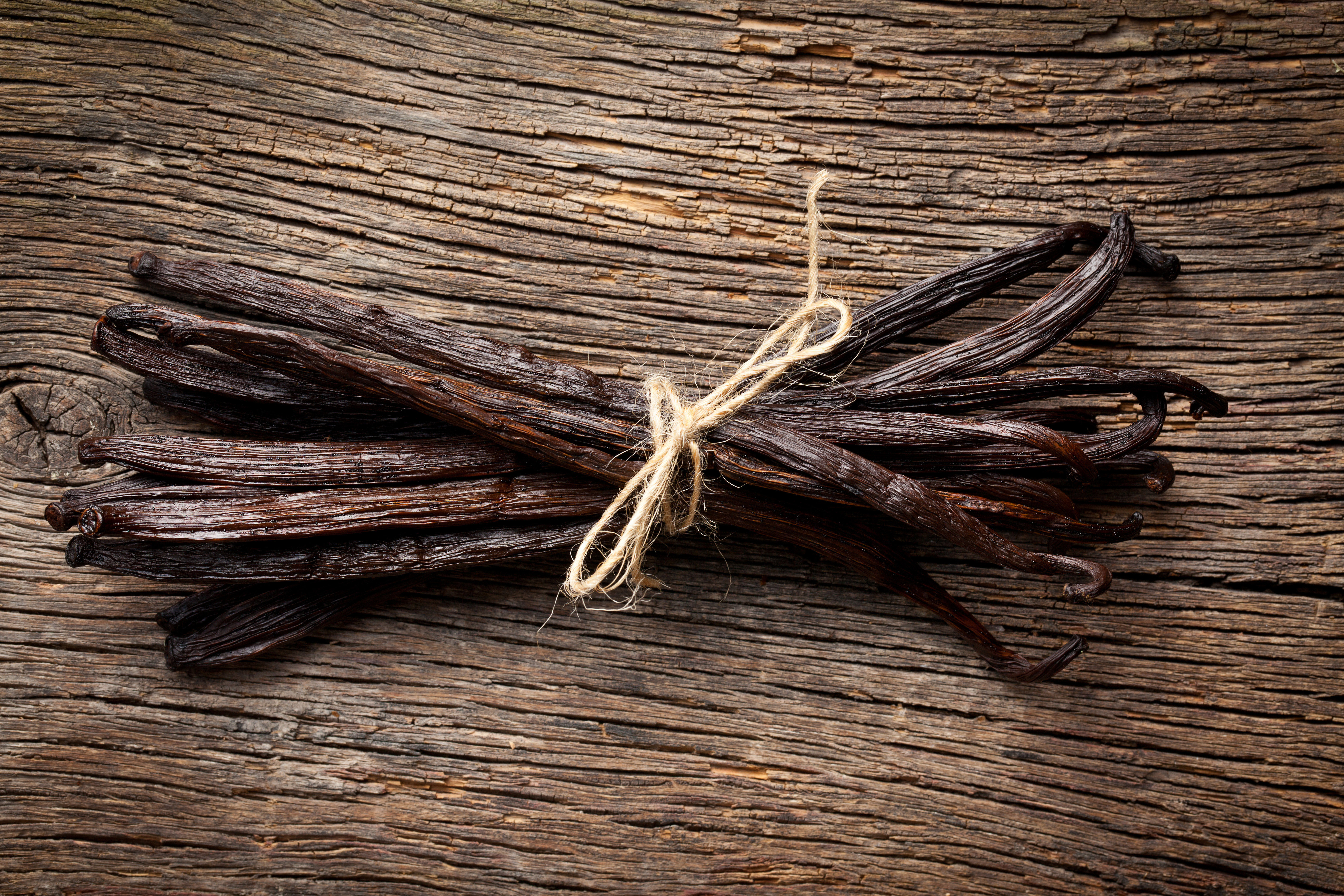 Vanilla Extract – Beautiful Homes