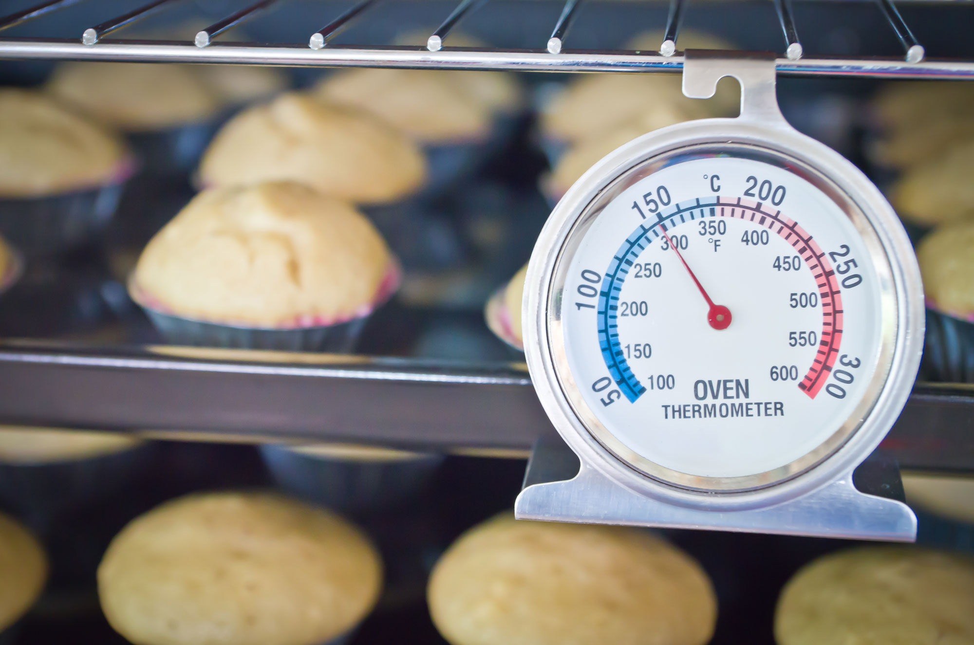 Oven Thermometer - Beautiful Homes