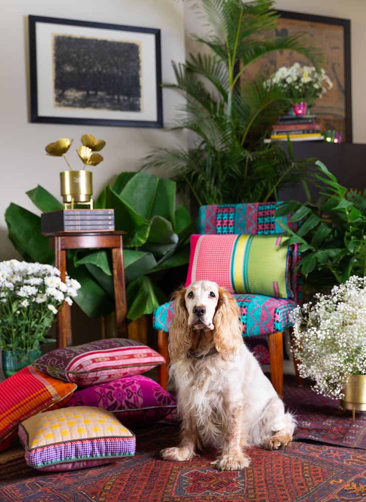 A corner of a room with a colourful chair, spread around it are colourful cushions and a dog sitting on a rug