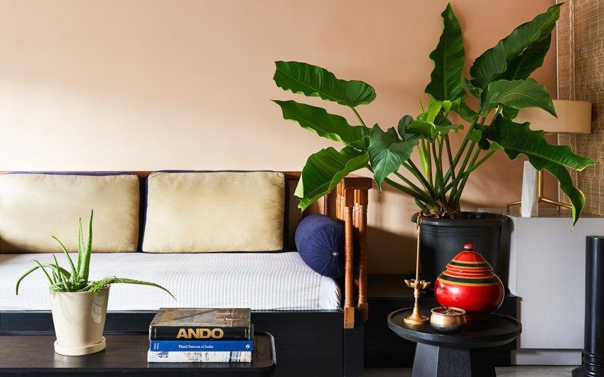 Room with black coffee table on wheels, side table, bed upgraded to a sofa and large planter on the side